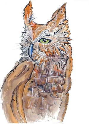 Owl Illustration, October 2012