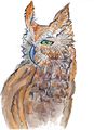 Owl Illustration - Stephie R.